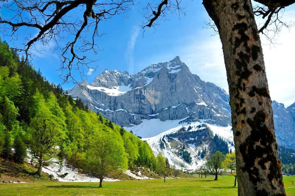 Appartement Alpenfreund à Mittenwald Extérieur photo